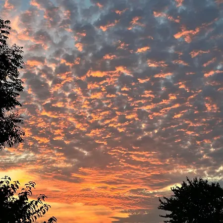 Heideschloss Ostsee Deutschland 아파트 *