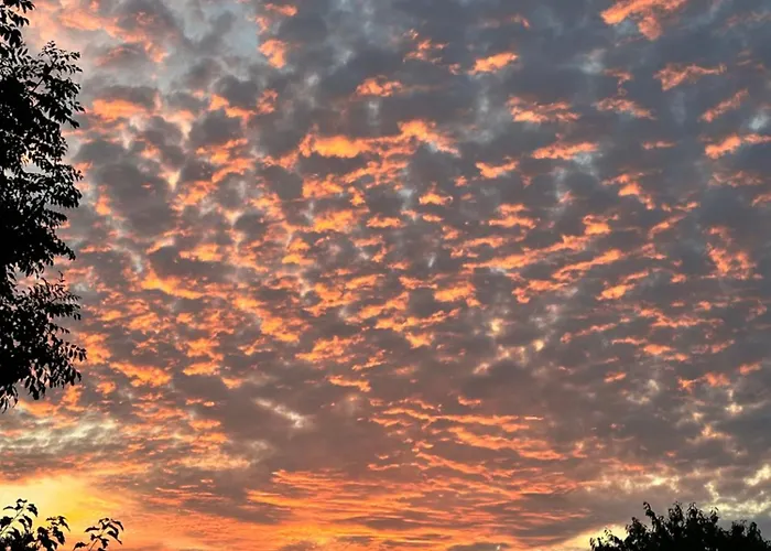 Heideschloss Ostsee Deutschland 아파트 *
